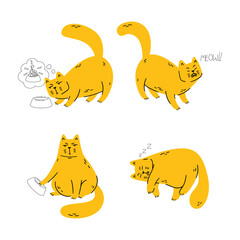 Disgruntled cat wonders where his food is, meows, demands his food, sleeps. Set of pet vector illustration isolated on white background. Simple cartoon doodle style. Funny chubby domestic animal.