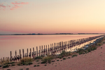 Fototapeta na wymiar Salt pillars on the pink lake. Sunset, sunrise on a summer day on a pink lake.