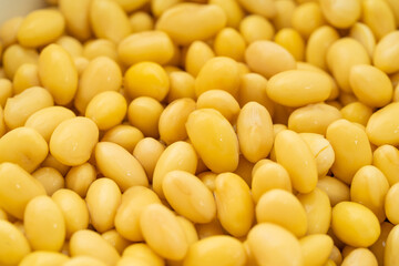 Soybeans with water on a pure white background