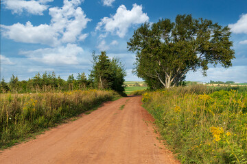 Fototapeta na wymiar Clay dirt roads running through farmland in rural Prince Edward Island, Canada.