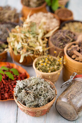 Herbs for medicinal tea