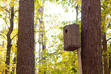 A wooden birdhouse hangs on a tree in the forest. Close-up. The concept of caring for birds in winter. 