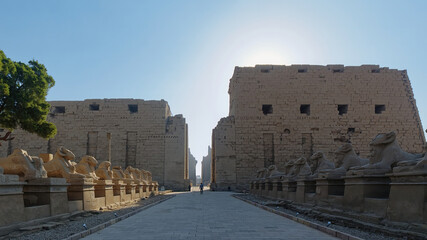 Avenue of Sphinxes at the entrance of Karnak temple in Luxor, Egypt