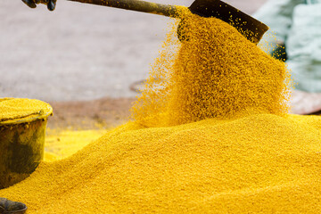 EPDM rubber granules. A worker stirs yellow rubber mulch with a shovel before placing it in a mixer...