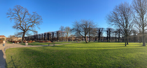 Panoramic the park with trees in the winter under blue sky. Outside