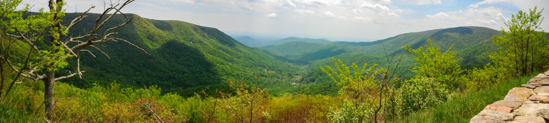 Panoramic view of Shenandoah National Park, Virginia, USA - obrazy, fototapety, plakaty