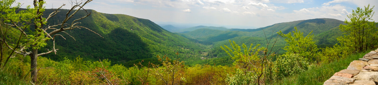Panoramic view of Shenandoah National Park, Virginia, USA