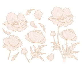 Poppy flowers and petals silhouette collection for design. Flowers and leaves set