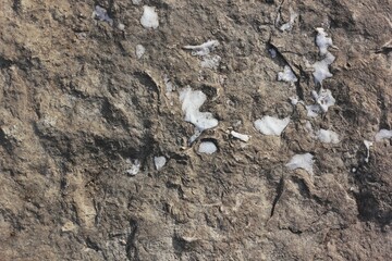 texture of stone