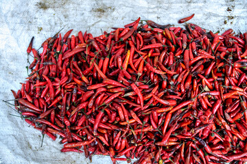 Close-up Fresh red chili peppers