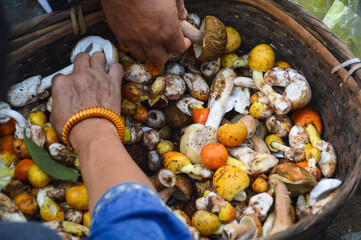 Top view of a basket filled with Amanita hemibapha or half-dyed slender Caesar mushroom sold in the open air market in Luang Prabang, Laos