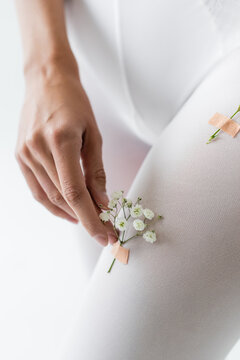 partial view of woman touching gypsophila flower on tighs isolated on white.