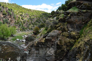 mountain river in the mountains