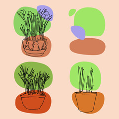 potted plant vector abstract line spot spring primroses daffodil crocus bulbs home plants gardening seedling