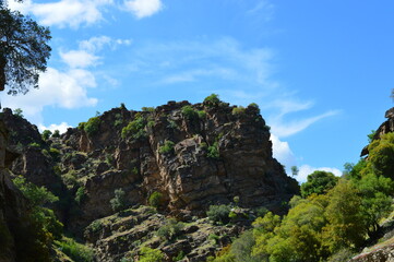 landscape with blue sky