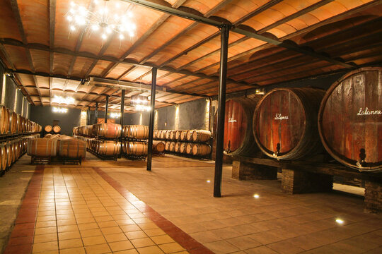 Bodega Lalanne en Barbastro, acogida a la D.O. Somontano, Huesca, Arag&oacute;n.