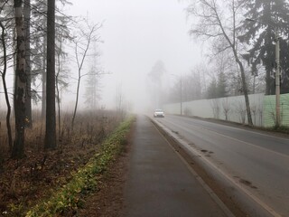 Asphalt road in an autumn fog