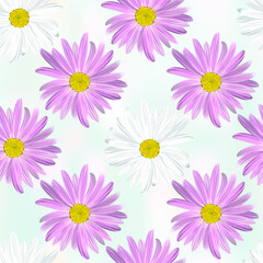 The chamomile flower. Seamless floral texture alternating white and purple daisies on abstract light blue background, geometric pattern, vector