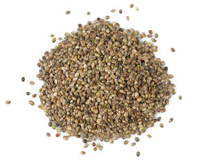 hemp seed isolated on white background