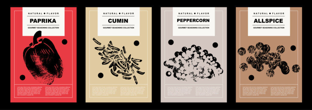 Paprika, cumin, peppercorn, allspice. Set of posters of spices and herbs in a abstract draw design. Label or poster for food preparing and culinary. Simple, flat design. For poster, cover, banner. 