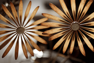 Daisy petals from dried ash seeds. Handmade decorative flowers. Decorations for the interior from natural materials