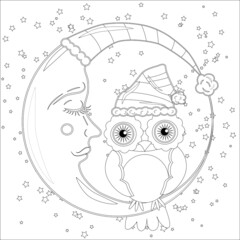 Coloring book for adult and older children. Coloring page with an owl on the moon among the stars.