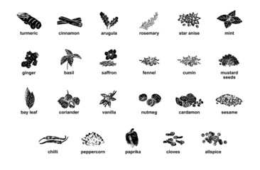Kitchen herbs and spices isolated vector set. Illustration of ingredient herb, garlic and spice for cooking. - obrazy, fototapety, plakaty