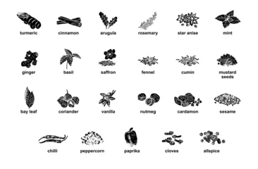 Poster Kitchen herbs and spices isolated vector set. Illustration of ingredient herb, garlic and spice for cooking. © zhu