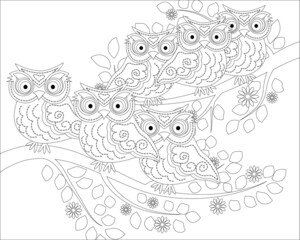 Coloring book for adult and older children. Coloring page with cute owl and floral frame. Outline drawing in zentangle style