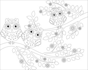 Fototapeta premium Coloring book for adult and older children. Coloring page with cute owl and floral frame. Outline drawing in zentangle style