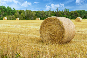 Hay bales in farm fields in rural Prince Edward Island, Canada.