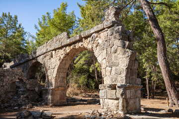 Fototapeta na wymiar Ruins of the aqueduct of the ancient ancient city of Phaselis illuminated by the bright sun in Pine forest, woods in sunny weather in Turkey, Antalya, Kemer. Turkey national nature landmarks.