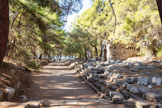Ruins of the aqueduct of the ancient ancient city of Phaselis illuminated by the bright sun in Pine forest, woods in sunny weather in Turkey, Antalya, Kemer. Turkey national nature landmarks.