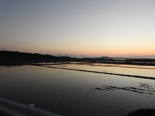 冬の田んぼの日の出　西表島