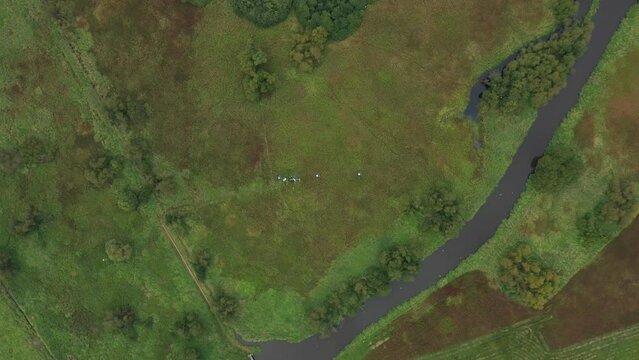 Biosphere Trebonsko UNESCO reserve protected landscape area wetlands science station research for studying meadows Trebon, drone aerial video shot ecosystem weather station swamp willows