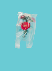 Fresh flowers floating in a nylon bag on a blue background. Minimal concept.