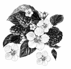 composition of raspberry branches, flowers and ripe berries collected in one bouquet, sketch vector graphics monochrome illustration on a white background