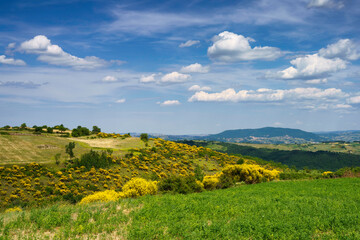 Landscape in Molise near Macchiagodena and Frosolone