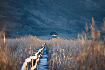 Sunrise over a lake with a wooden bird viewing hut and reeds