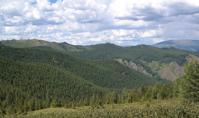 Fototapeta na wymiar Beautiful landscape of Altay region, Russia