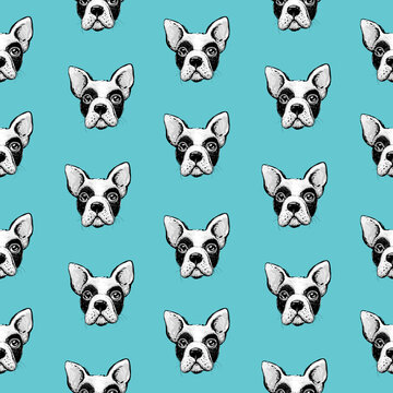 French bulldog seamless pattern, wrapping paper, fabrik print. Vector illustration. Hand drawn funny dogs