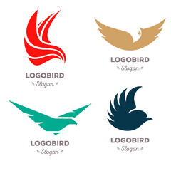 Obraz premium Isolated colorful flying birds vector logo set. Animal logotypes collection.