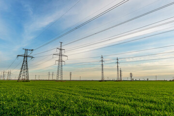 power lines in the spring in a green wheat field