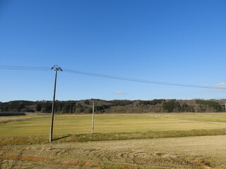 白鳥のいる農村風景