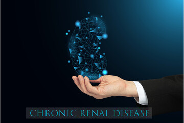 A man holding a model of a kidney with text describing chronic renal disease.