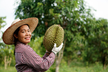Asian female gardener shows durian fruits after harvesting. Smiles. Feeling proud and happy with...
