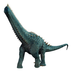 Fototapeta premium 3D Rendering DinosaurAlamosaurus on White