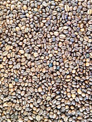 Brown coffee beans lie loose