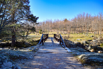 Natural landscape composed of a wooden bridge over a river in a wooded area.