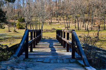 Natural landscape composed of a wooden bridge over a river in a wooded area.